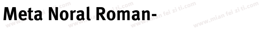 Meta Noral Roman字体转换